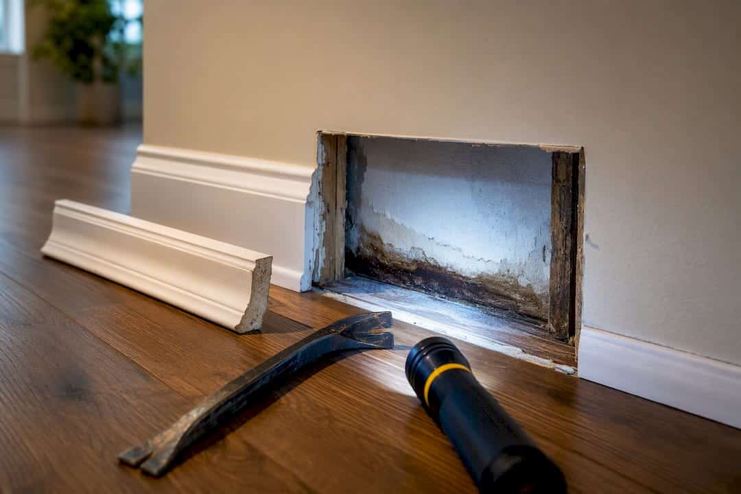 Moisture staining exposed behind removed baseboard